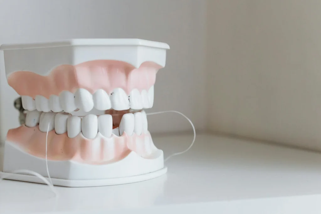 Denture model
